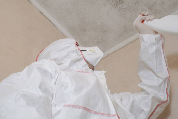 Health and Safety Mold Remediation